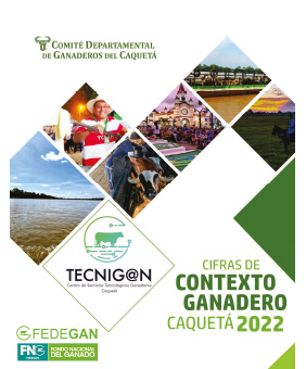 Miniatura de Cifras Contexto Ganadero Caquetá 2022
