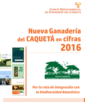Miniatura de Cifras Contexto Ganadero Caquetá 2016